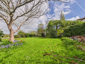 Garden- click for photo gallery